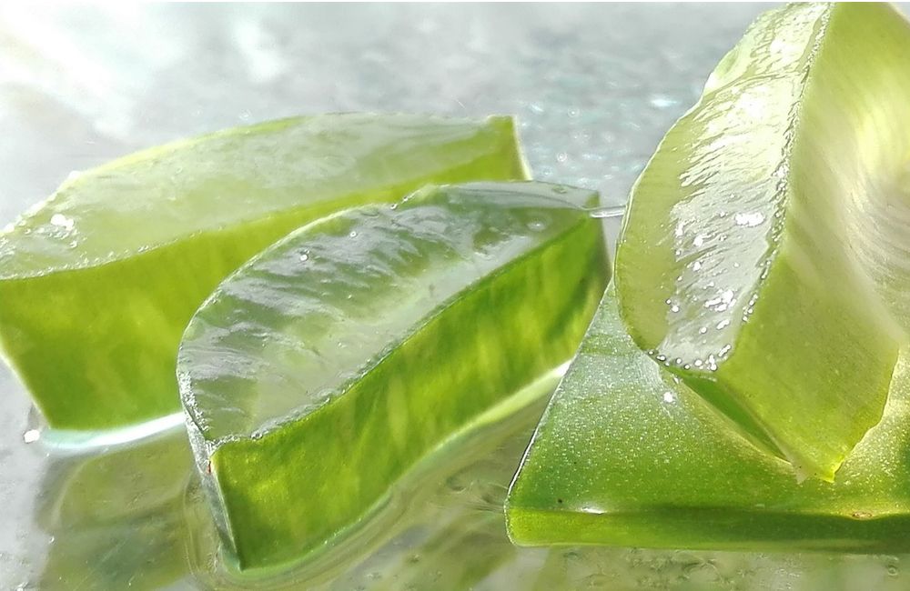 Aloe Vera. Proprietà e benefici.