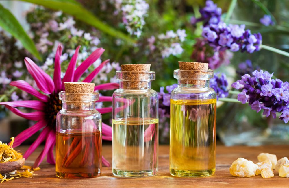 Zanzare come difendersi