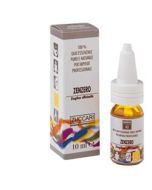 Zenzero Olio Essenziale Nat5ml
