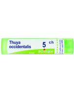 Boiron Thuya Occidentalis Granuli 05Ch Tubo 4g
