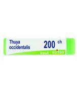 Boiron Thuya Occidentalis Globuli 200Ch Dose 1g
