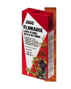 Floradix 250ml