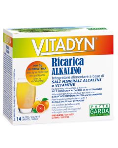 Vitadyn Ricarica Alkalin14bust