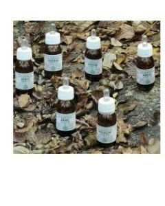 Ka Planta Olio Mass 100ml