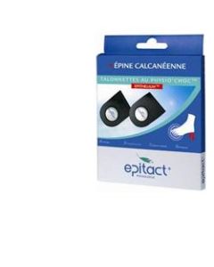 Epitact Plant Tall d Epith/phy