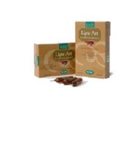 Ligne Art Bio 20 Ampolle 15ml