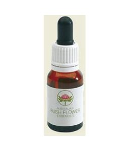 Red Suva Frangipani Austr 15ml