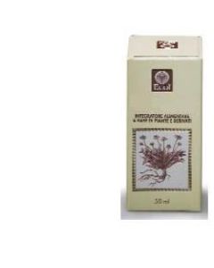 Cimicifuga Gtt 50ml