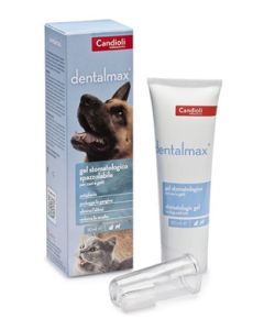 Dentalmax Gel Stomatologico 50