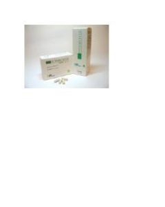 Fitomuscle cr Tubo 100ml