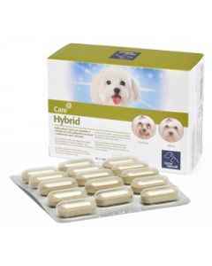 Hybrid Orme Nat 60cpr