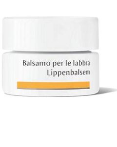 Dr Hauschka Bals Labbra 4,5g