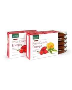 Rosa Canina Energie Bio 10amp