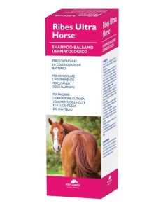 Ribes Horse Shampoo Bals Ultra
