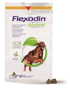 Flexadin Advanced Cane 60tav