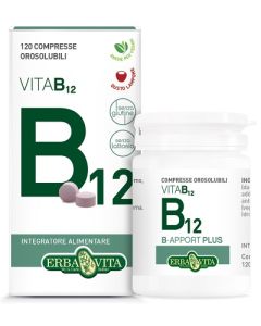 B-apport Vit B12 120cpr Orosol