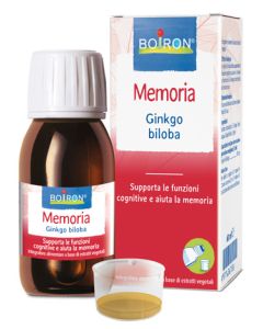 Ginkgo Biloba Boi ei 60ml Int