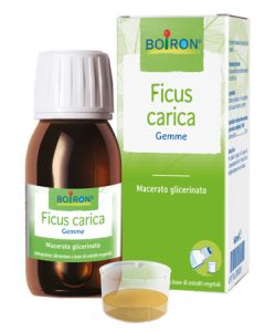 Ficus Carica Integratore 60 ml