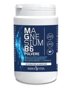 Magnesium b6 Polv 200g