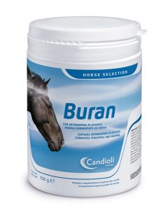 Buran 700g
