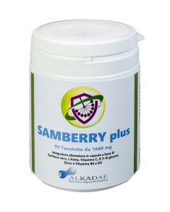 Samberry Plus 90tav