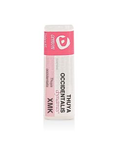 Thuya Occident Xmk gl