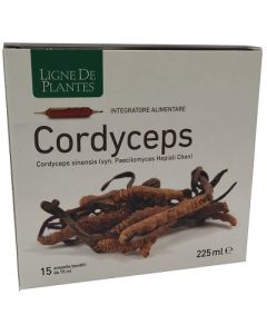 Cordyceps 15ab 15ml