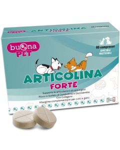 Articolina Forte 60cpr