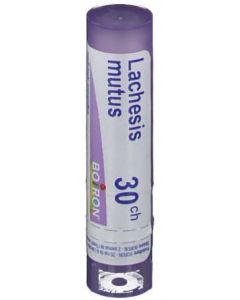 Lachesis Mutus 30ch gr