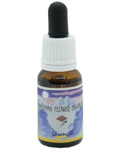 Strength Essenza 15ml