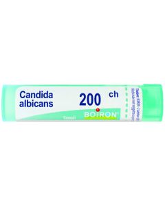 Candida Albicans 200ch gr