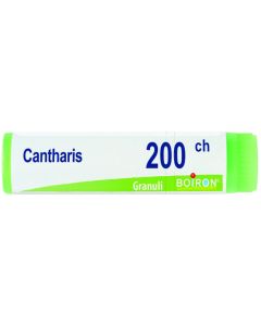 Cantharis 200ch gl