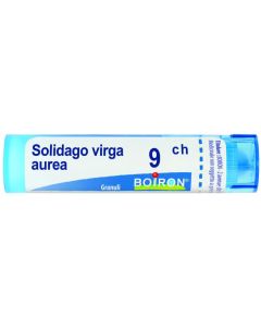 Solidago Virga au 9ch gr 4g