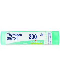 Thyroidea 200ch gr