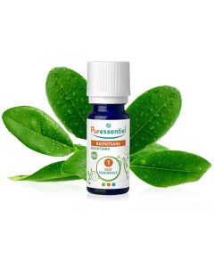 Puressentiel oe Ravinstara Bio