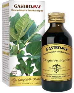 Gastromix Liquido Analc 100ml