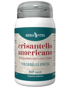 Crisantello Americano 60cps