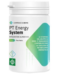 Pt Energy System 30cpr
