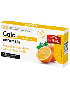 Sanavita Gola Arancia 24cpr