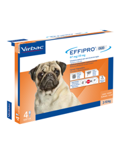 Effipro Duo*4pip 2-10kg Cani