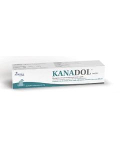 Kanadol Pasta 30g