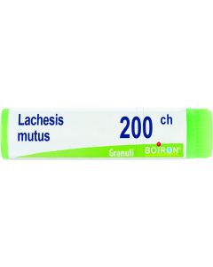 Lachesis Mut 200ch gl