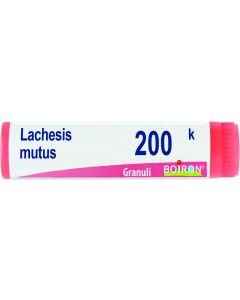 Lachesis Mut 200k gl