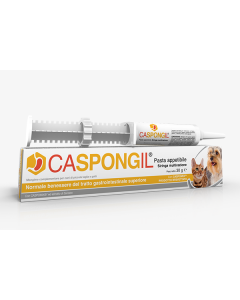 Caspongil Pasta 30g